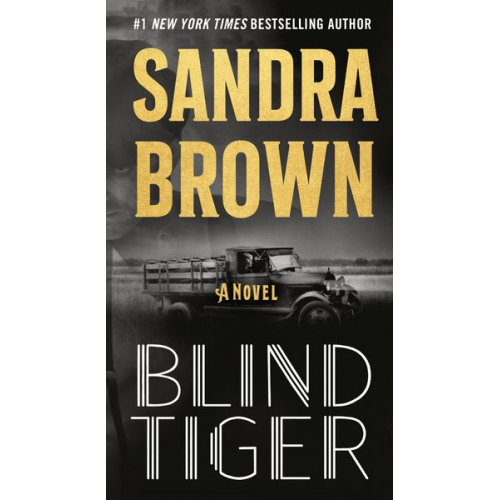 Sandra Brown - Blind Tiger