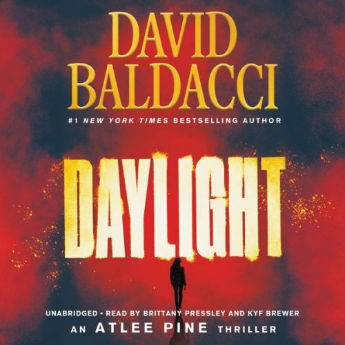 David Baldacci - Daylight