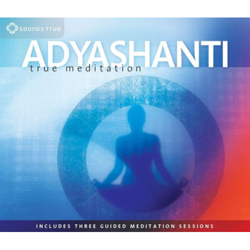 Adyashanti - True Meditation