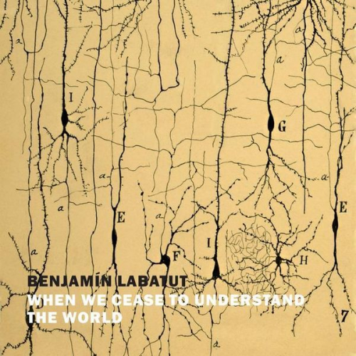 Benjamin Labatut - When We Cease to Understand the World