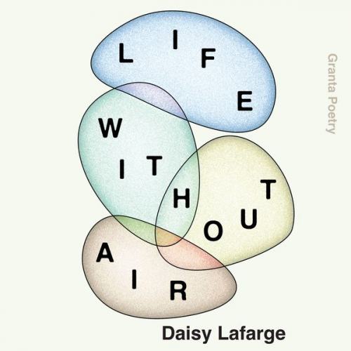 Daisy Lafarge - Life Without Air