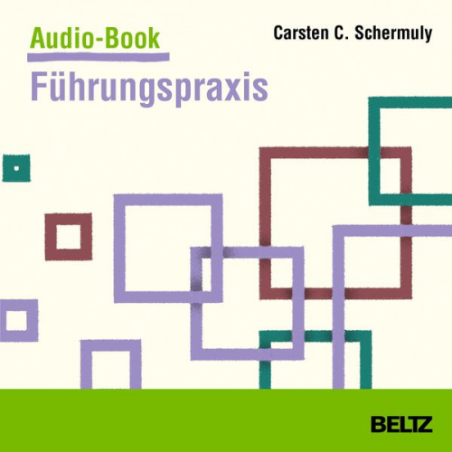 Carsten Schermuly - Mini-Handbuch Führungspraxis