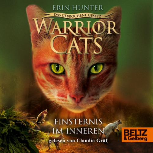 Erin Hunter Warrior Cats - Warrior Cats - Das gebrochene Gesetz. Finsternis im Inneren