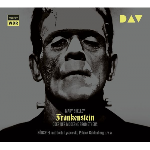 Mary Shelley - Frankenstein oder Der moderne Prometheus