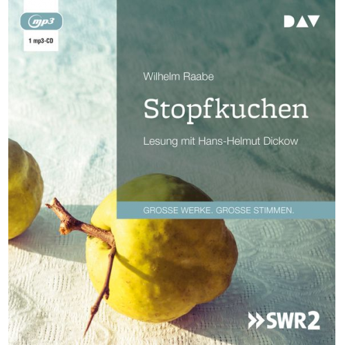 Wilhelm Raabe - Stopfkuchen. Eine See- und Mordgeschichte