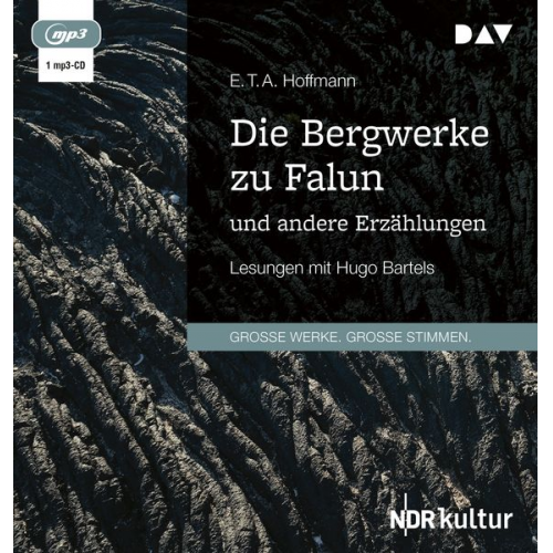 E.T.A. Hoffmann - Die Bergwerke zu Falun und andere Erzählungen