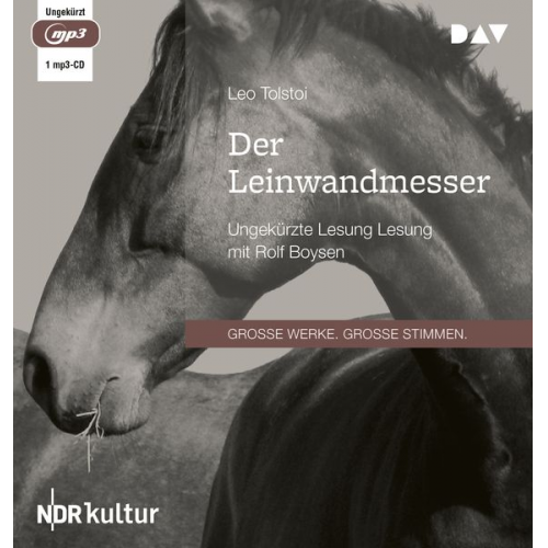 Leo N. Tolstoi - Der Leinwandmesser