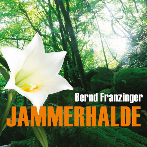 Bernd Franzinger - Jammerhalde (Ungekürzt)