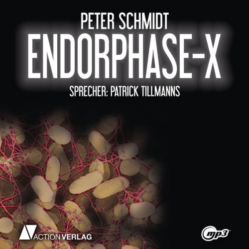 Peter Schmidt - Endorphase-X