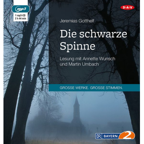 Jeremias Gotthelf - Die schwarze Spinne