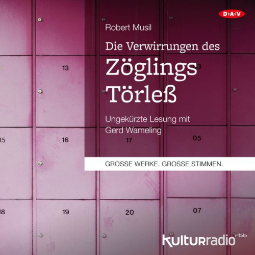 Robert Musil - Die Verwirrungen des Zöglings Törleß