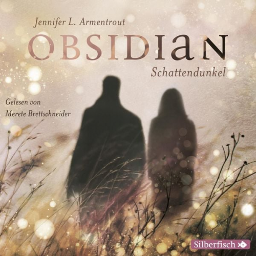 Jennifer L. Armentrout - Schattendunkel / Obsidian Band 1