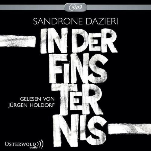 Sandrone Dazieri - In der Finsternis