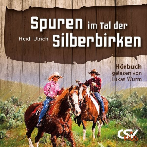 Heidi Ulrich - Spuren im Tal der Silberbirken