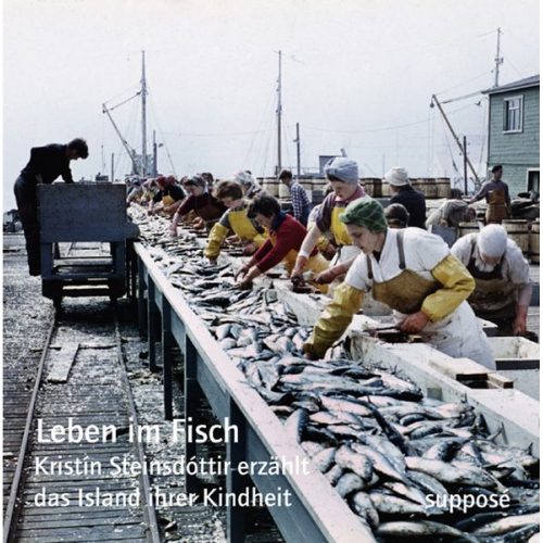 Thomas Böhm Klaus Sander Kristín Steinsdóttir - Leben im Fisch