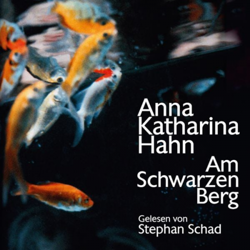 Anna Katharina Hahn - Am schwarzen Berg