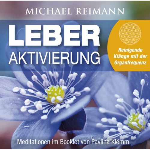 Michael Reimann Pavlina Klemm - LEBER AKTIVIERUNG (mit Solfeggio-Frequenz 528 Hertz)