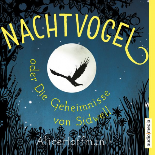 Alice Hoffman - Nachtvogel oder Die Geheimnisse von Sidwell