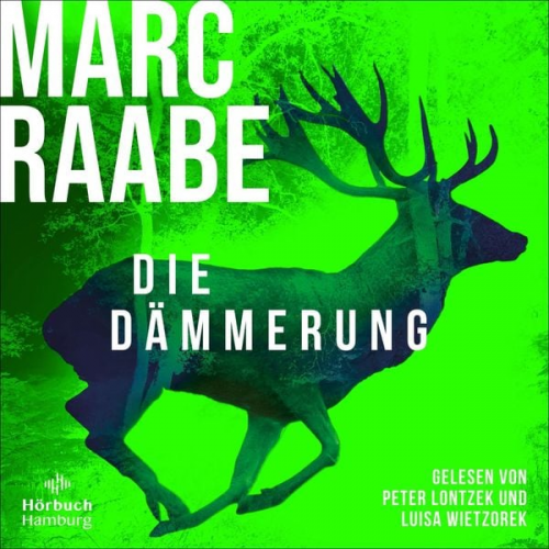 Marc Raabe - Die Dämmerung (Art Mayer-Serie 2)