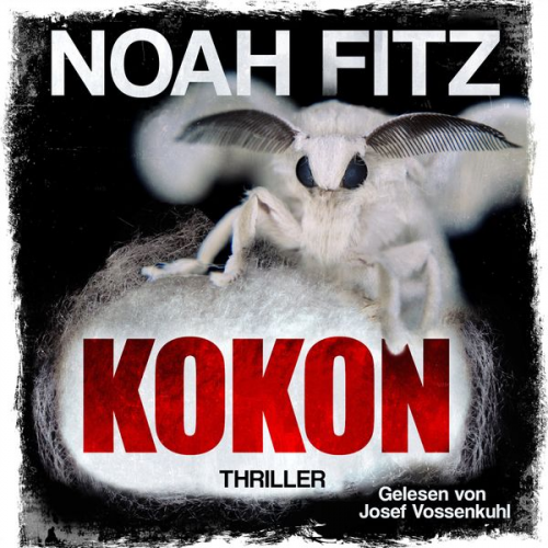 Noah Fitz - Kokon