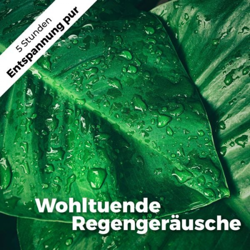 Martin Melzer - Wohltuende Regengeräusche