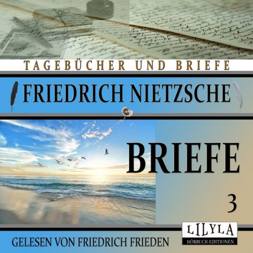 Friedrich Nietzsche - Briefe 3