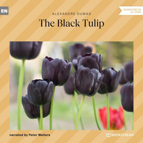 Alexandre Dumas - The Black Tulip