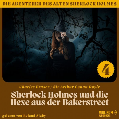 Arthur Conan Doyle Charles Fraser - Sherlock Holmes und die Hexe aus der Bakerstreet (Die Abenteuer des alten Sherlock Holmes, Folge 4)