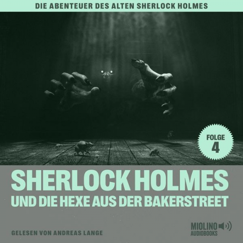 Arthur Conan Doyle Charles Fraser - Sherlock Holmes und die Hexe aus der Bakerstreet (Die Abenteuer des alten Sherlock Holmes, Folge 4)