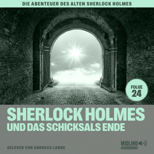 Arthur Conan Doyle Charles Fraser - Sherlock Holmes und das Schicksals Ende (Die Abenteuer des alten Sherlock Holmes, Folge 24)