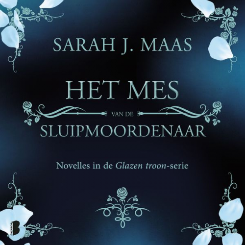 Sarah J. Maas - Het mes van de sluipmoordenaar