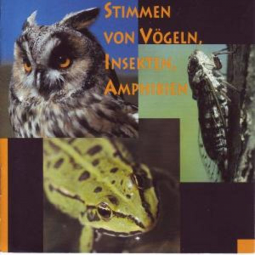 Diethelm Zimmermann - Stimmen von Vögeln, Insekten, Amphibien