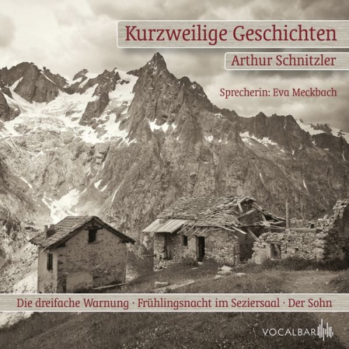 Arthur Schnitzler - Kurzweilige Geschichten. Der Sohn, Die Dreifache Warnung und Frühlingsnacht im Seziersaal