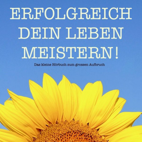 Patrick Lynen - Erfolgreich dein Leben meistern! Das kleine Hörbuch für mehr Erfolg