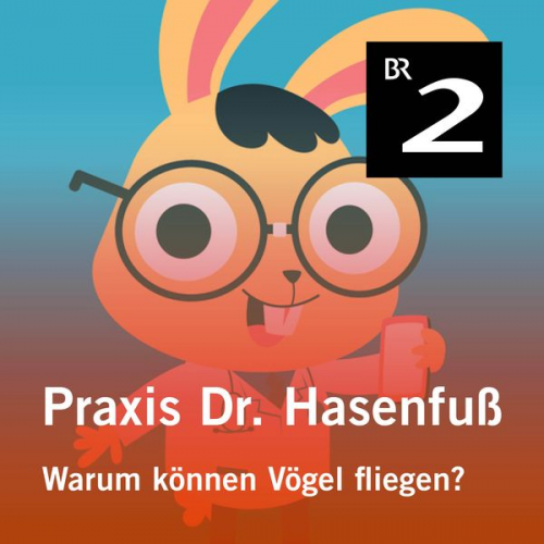 Olga-Louise Dommel - Praxis Dr. Hasenfuß: Warum können Vögel fliegen?