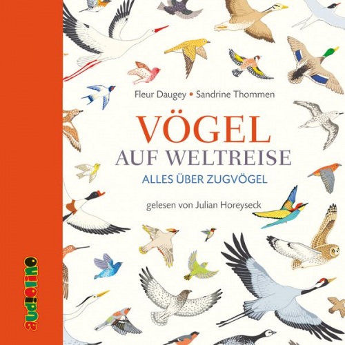 Fleur Daugey - Vögel auf Weltreise. Alles über Zugvögel