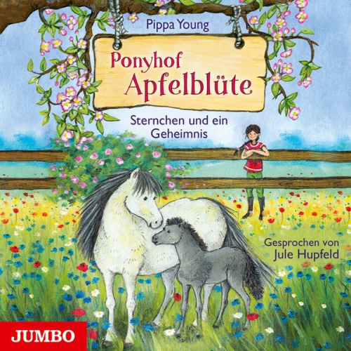 Pippa Young - Ponyhof Apfelblüte. Sternchen und ein Geheimnis [Band 7]