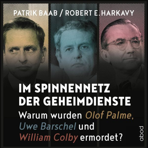 Patrik Baab Robert E. Harkavy - Im Spinnennetz der Geheimdienste