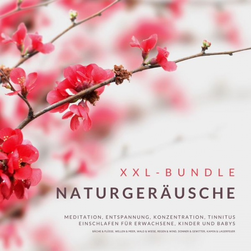 Institut für Entspannungstechniken - XXL-Bundle: Naturgeräusche