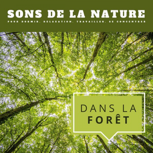 Sons De La Nature - Dans la forêt: Sons de la nature pour dormir, relaxation, travailler, se concentrer