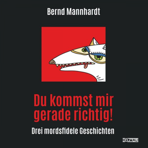 Bernd Mannhardt - Du kommst mir gerade richtig!