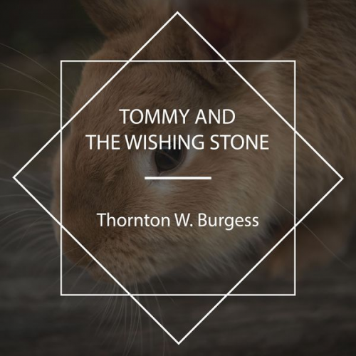 Thornton W. Burgess - Tommy and the Wishing Stone