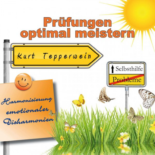 Selbsthilfe: Prüfungen optimal meistern (Harmonisierung emotionaler Disharmonien)