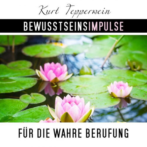 Kurt Tepperweink - Bewusstseinsimpulse für die wahre Berufung