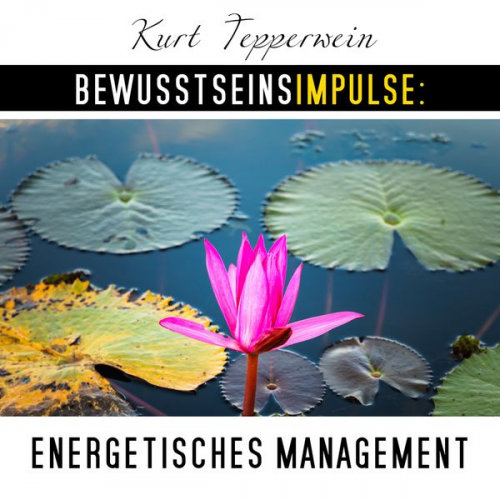 Kurt Tepperwein - Bewusstseinsimpulse: Energetisches Management