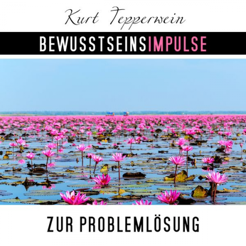 Kurt Tepperwein - Bewusstseinsimpulse zur Problemlösung