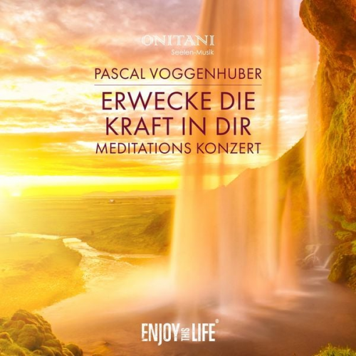 Pascal Voggenhuber - Erwecke die Kraft in Dir