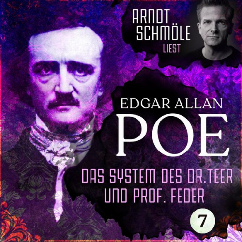 Edgar Allan Poe - Das System des Dr. Teer und Prof. Feder