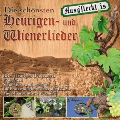 Various - Die schönsten Heurigen-und Wi