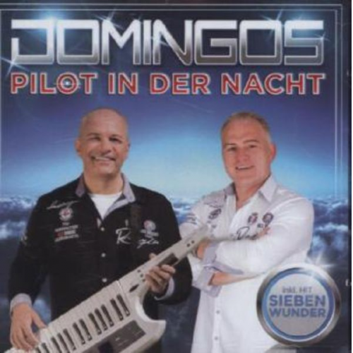 Domingos - Pilot in der Nacht